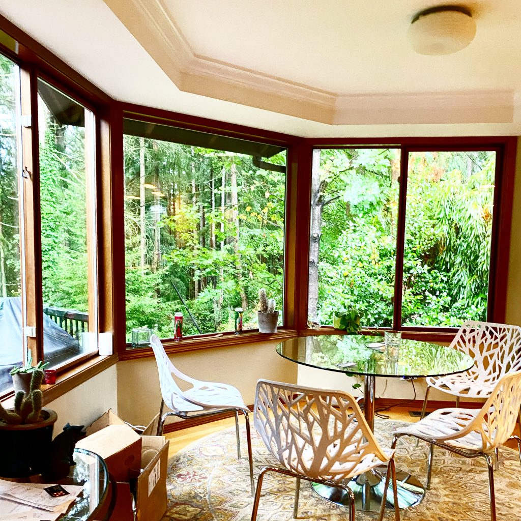 Window Pane Replacement Services in Federal Way, Window Pane Replacement Services in Lacey