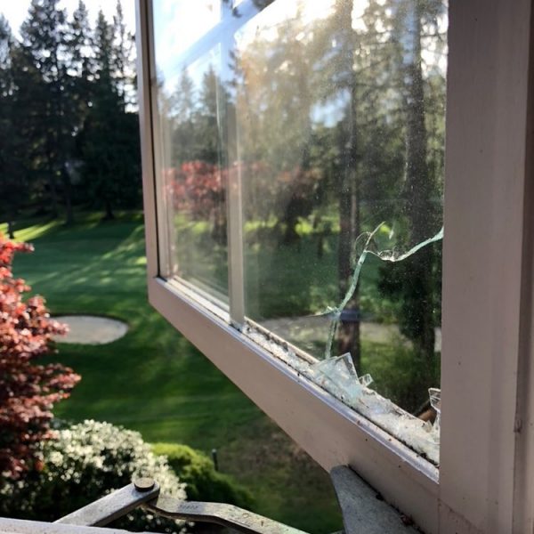 Window Pane Replacement Services in Federal Way, glass repair near me